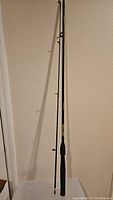 Full view of the 6'6" Shakespeare Alpha fishing rod showing the full length and foam handle.