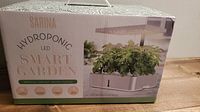 Front view of packaged Sarina hydroponic LED smart garden in box showing product name and image of product planted with greenery.