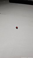 Small pear-shaped deep cherry red garnet cabochon gemstone on white background