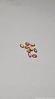 Photo showing 10 oval cut fancy colored sapphires on plain background, various vibrant amber and yellow tones visible.