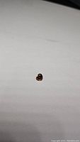 Close-up photo of a single deep cognac colored heart cut Tanzanian zircon gemstone placed on a white background.