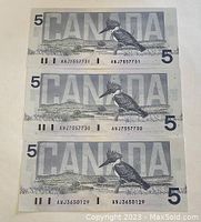 Front side of the three Canadian five-dollar bills showing the Kingfisher bird and sequential serial numbers ANJ3650129, ANJ3650130, ANJ3650131