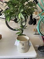 Photo of 2 gallon Medalta stoneware crock with artificial tree plant behind it, crock marked with number 2