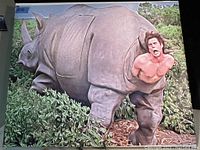 Photo of vinyl wall art print showing the surreal image of a rhino with a man's upper body emerging, surrounded by bushes.