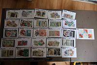 Photo showing 26 stock cards laid out on the floor with visible stamps, cards appear labeled 'Russia'.