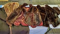 Four vintage fur coats laid out on surface showing fur textures and interior linings.