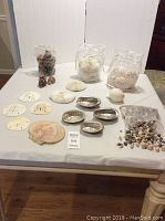 Full view of shells, coral, and sand dollars collection on a white table, showing the various shells, 4 sand dollars, and a large bag of small shells.