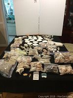 Wide view photo showing multiple bags of seashells, arranged sand dollars, starfish, and a glass candle holder against a black background.