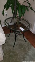 Glass top oval side table with dark metal curved legs shown next to plant and sofa