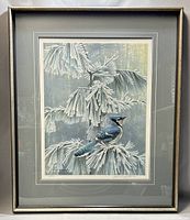 Full view of framed Robert Bateman print with blue jay on frosted pine branches