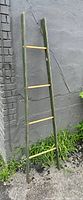 Full view of the tall wooden ladder leaning against a gray concrete wall outside, showing 5 natural wood rungs and green painted rails.