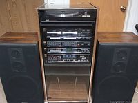 Full stereo system in wood veneer cabinet with glass door flanked by two speakers
