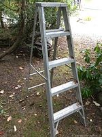 Side angle view of the 5-foot aluminum step ladder standing outdoors on grass and dirt, showing four steps and angled supports.