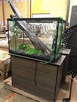 Full view of the glass aquarium on laminate cabinet showing size and setup.