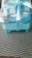 Front view of bath basket wrapped in clear plastic with blue ribbon and tag showing brand and scent