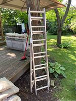 Straight aluminum ladder leaning against a tree in an outdoor garden setting showing full length and step rungs.