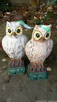 Pair of two concrete owl statues side by side on outdoor ground, showing front view and overall size