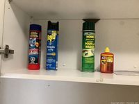 Four household products displayed on a cabinet shelf. From left to right: Drano drain cleaner in red can, Raid mosquito and fly spray in blue can, Home Insect Killer in green can, and Terro ant bait in small red and yellow bottle.