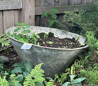 View of the MCM concrete planter outdoors in a garden setting showing its shape and weathered surface with plants around it.
