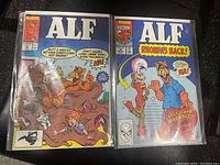 Pair of Marvel ALF comics, issue 12 and issue 24, both in protective sleeves, clearly showing front covers and cover titles.