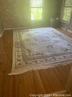 Full view of the beige area rug laid out on hardwood floor, showing its design and overall condition.