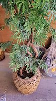 Photo of 6 ft tall faux plant with multiple green leafy branches placed in a woven light brown basket planter.