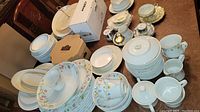 Overview of assortment of Jardin pattern dishes including plates, cups, saucers, and serving items arranged on table.