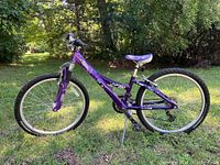 Full side view of purple Trek MT 220 girls bicycle showing frame, wheels, seat, pedals, and kickstand on grass background