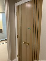 Full view of both closed doors showing metal inlay stripes and brass handles