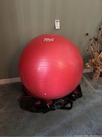 Red Everlast F.I.T. exercise ball sitting on top of a black CCM hockey duffle bag on carpeted floor.