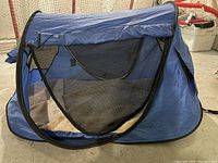Blue pop-up tent with black mesh windows and beige cushion inside, viewed from front with zipper open.