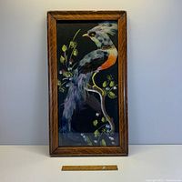 Full view of the vintage bird feather picture in wood frame against a white background with a ruler for scale.