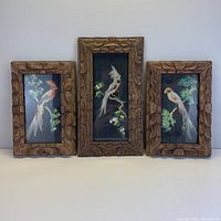 Photo showing the three vintage feather bird artworks side by side in their carved wood frames with intricate patterns.
