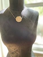 Full view of silver plated medallion necklace worn on a mannequin.