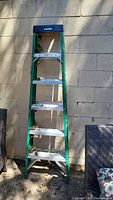 Full view of the 6-foot fiberglass stepladder leaning against a wall with leaves stuck in the side and on steps.