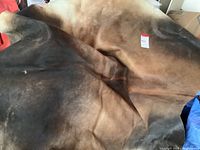 Photo showing the large, natural cowhide rug with dark browns and brindle pattern spread on the floor or surface.