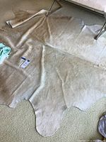 Full view of cowhide rug spread on carpeted floor under a chair showing size and natural shape