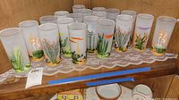 Full set of 19 frosted glasses lined up featuring Arizona desert plant designs in various colors.