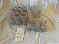 Full view of the frosted glass pitcher and twelve matching drinking glasses arranged on fabric, showing pink gladiola flower designs on frosted glass.