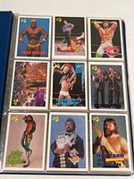 Page showing nine wrestling cards including Hulk Hogan, Ultimate Warrior, Jake 'The Snake' Roberts, Hacksaw Jim Duggan among others. Cards are colorful with wrestler images in varied poses and colorful text.