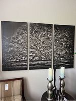Full view of three black and white canvas panels arranged as a triptych showing a panoramic image of a large tree with spreading branches.
