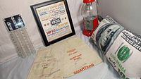 Framed coin picture, coin holder tubes, coin bags, vending machine, and $100 bill pillow shown together on a white surface.