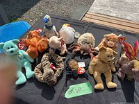 Several plush Beanie Babies on black cloth including blue bear, bird, white bird, tiger, spider and leopard print among others.