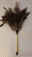 Photo of ostrich feather duster showing fluffy, grey ostrich feathers attached to black plastic cap and wooden handle.
