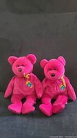 Two identical pink Millennium Beanie Baby bears sitting side by side, with a black background.