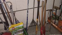 Overview of various yard tools leaning against the wall including rakes, shovels, and Scotts Turf Builder bag in front.
