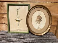 Two framed vintage prints displayed outdoors on a wooden surface, one botanical bird print in green frame and an oval framed art piece.