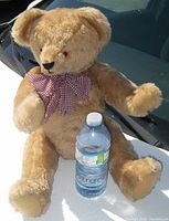 Full front view of the vintage plush teddy bear sitting with arms and legs posed, featuring light brown fur, red eyes, black nose, and checkered bow around neck. Water bottle shown for size comparison.