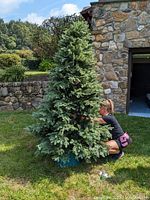 Assembled tree outdoors on grass showing full height and shape