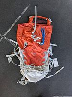 Full front view of orange and gray Osprey Talon 44 backpack showing straps, buckles, and wear.